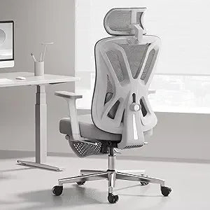 Ergonomic Mesh Office Chair with Adjustable Lumbar Support and Height, Plus Footrest for Comfortable Computing