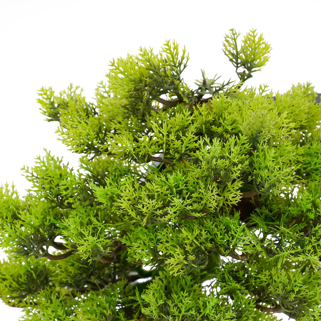 LED Dimmable Artificial Bonsai Tree/ Zen Tabletop Decor/ USB Warm Light Simulation /Pine Tree Desktop Ornament for Home/ Office/ Meditation Room