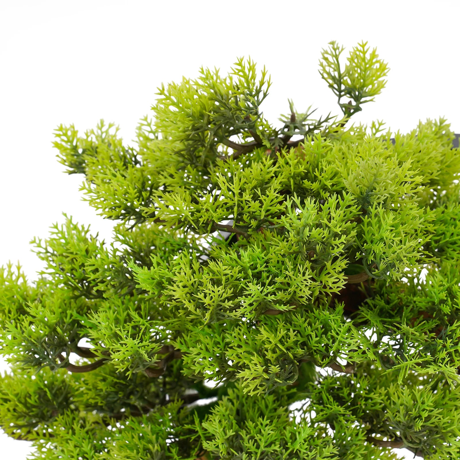 LED Dimmable Artificial Bonsai Tree/ Zen Tabletop Decor/ USB Warm Light Simulation /Pine Tree Desktop Ornament for Home/ Office/ Meditation Room