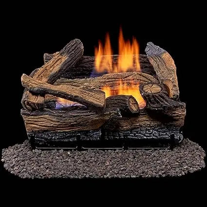 NEW-Duluth Forge DLS-18R-1 Dual Fuel Fireplace Logs with Remote, Compatible with Natural Gas or Propane, 30,000 BTU Output