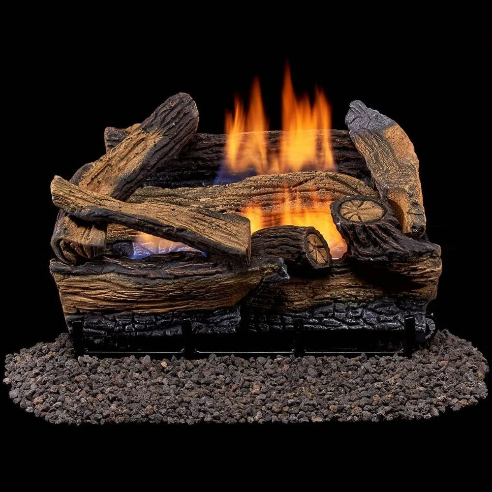 NEW-Duluth Forge DLS-18R-1 Dual Fuel Fireplace Logs with Remote, Compatible with Natural Gas or Propane, 30,000 BTU Output