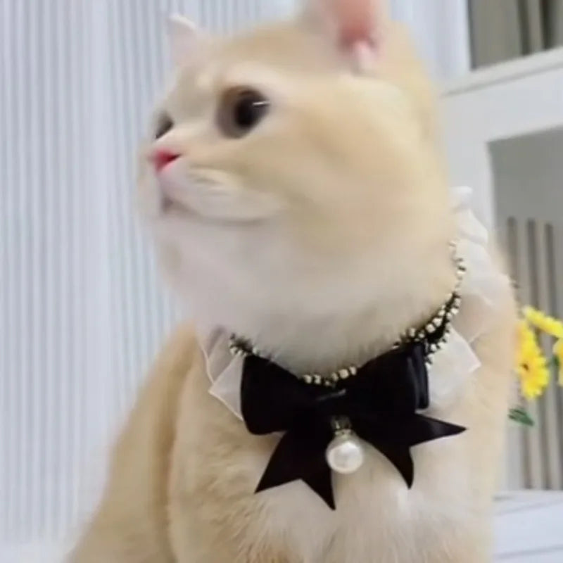 Lace Princess Cat Collar Necklace with Bow and Pearl Decoration Cute Kitten Jewelry Accessory