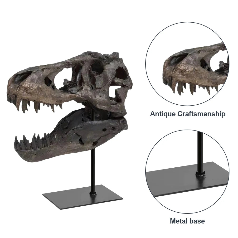 Dinosaur Skull Statue/ Resin Replica Head Sculptures with Bracket Skull/ Sculptures Gift for Kids and Adults