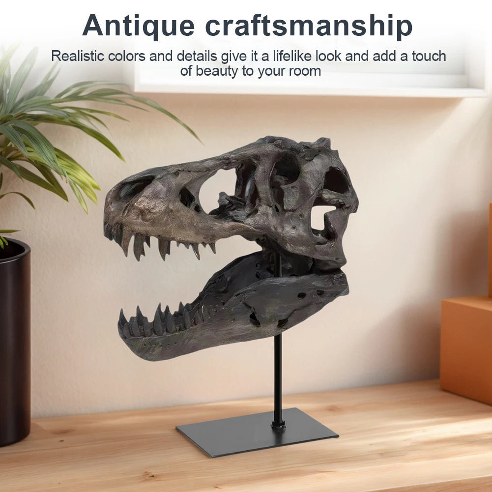 Dinosaur Skull Statue/ Resin Replica Head Sculptures with Bracket Skull/ Sculptures Gift for Kids and Adults