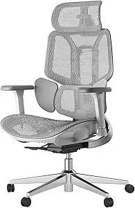 Air Ergonomic Office Chair, Big and Tall Office Chair - with 3-Zone Dynamic Lumbar Support, 3D Adjustable Headrest