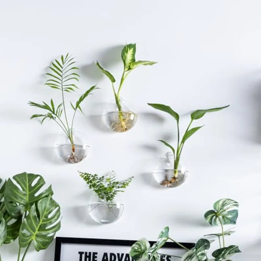 Wall Hanging Planter Propagation Station, Oblate Glass Flower Vase for Propagation, Wall Planter for Indoor Plants, Modern Home