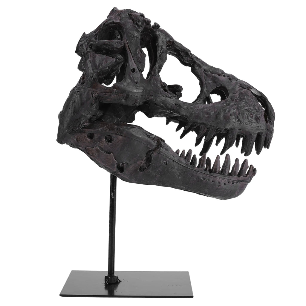 Dinosaur Skull Statue/ Resin Replica Head Sculptures with Bracket Skull/ Sculptures Gift for Kids and Adults