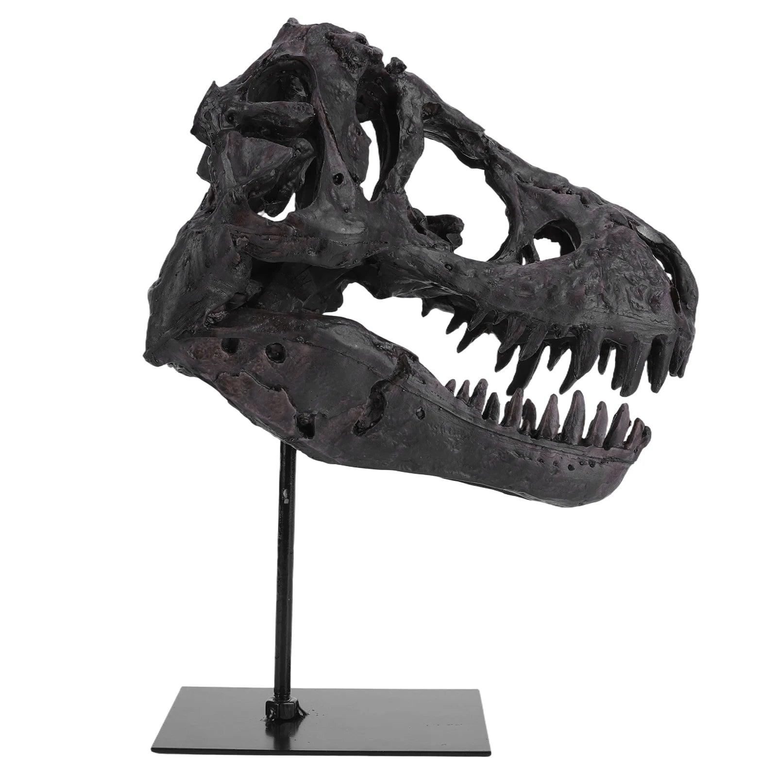 Dinosaur Skull Statue/ Resin Replica Head Sculptures with Bracket Skull/ Sculptures Gift for Kids and Adults