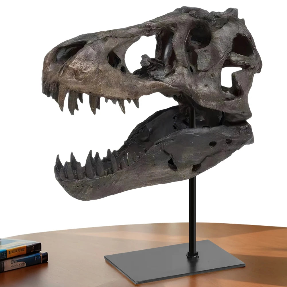 Dinosaur Skull Statue/ Resin Replica Head Sculptures with Bracket Skull/ Sculptures Gift for Kids and Adults