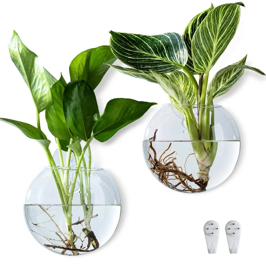 Wall Hanging Planter Propagation Station, Oblate Glass Flower Vase for Propagation, Wall Planter for Indoor Plants, Modern Home