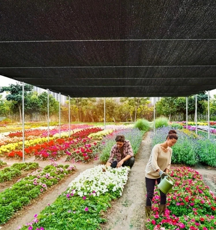 Black High-Density Polyethylene Sunshade Sail - Professional Anti-UV Design, 85%, Suitable for Terrace, Pergola, Courtyard