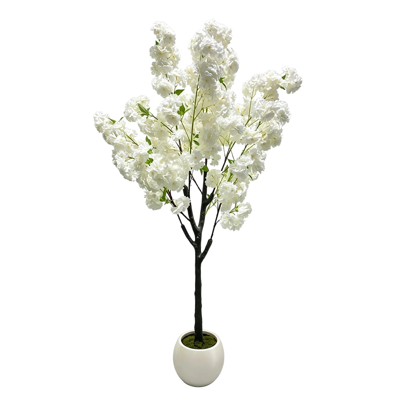 White Artificial Cherry Blossom Tree 5/6FT – Faux Silk Plant Potted, Lifelike Decorative Flower Tree for Indoor/Outdoor, Home, Office, Wedding, Party & Hotel