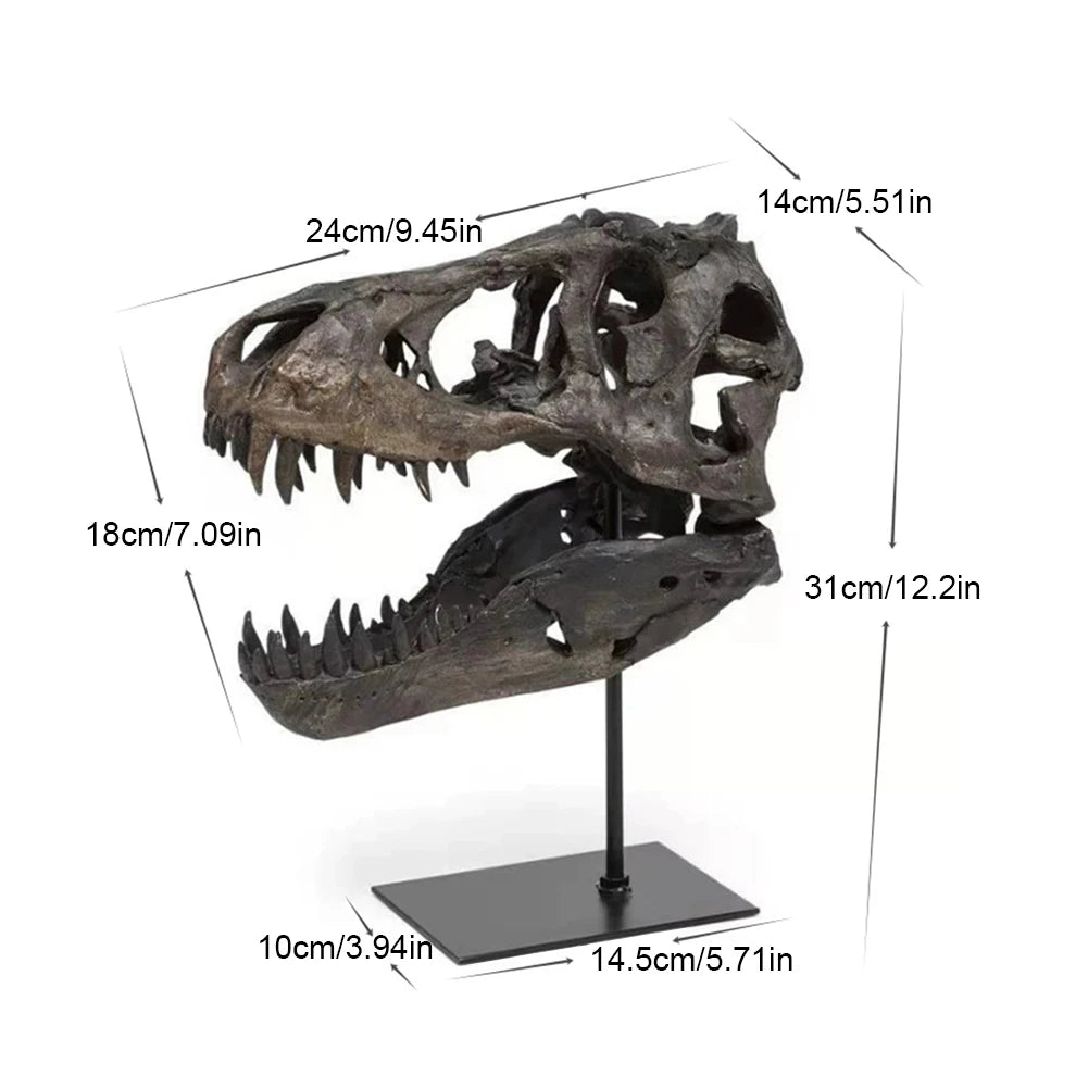 Dinosaur Skull Statue/ Resin Replica Head Sculptures with Bracket Skull/ Sculptures Gift for Kids and Adults