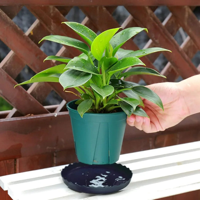 12Pcs Plant Saucer, 6 8 10 Inch Durable Plastic Plant Tray, Black Round Plant Pot Saucers, Drip Tray for Indoor and Outdoor Gardening