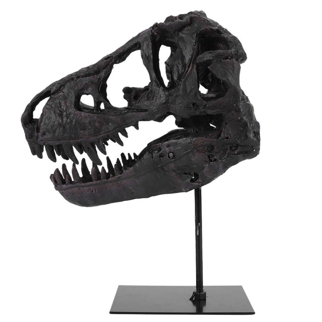 Dinosaur Skull Statue/ Resin Replica Head Sculptures with Bracket Skull/ Sculptures Gift for Kids and Adults