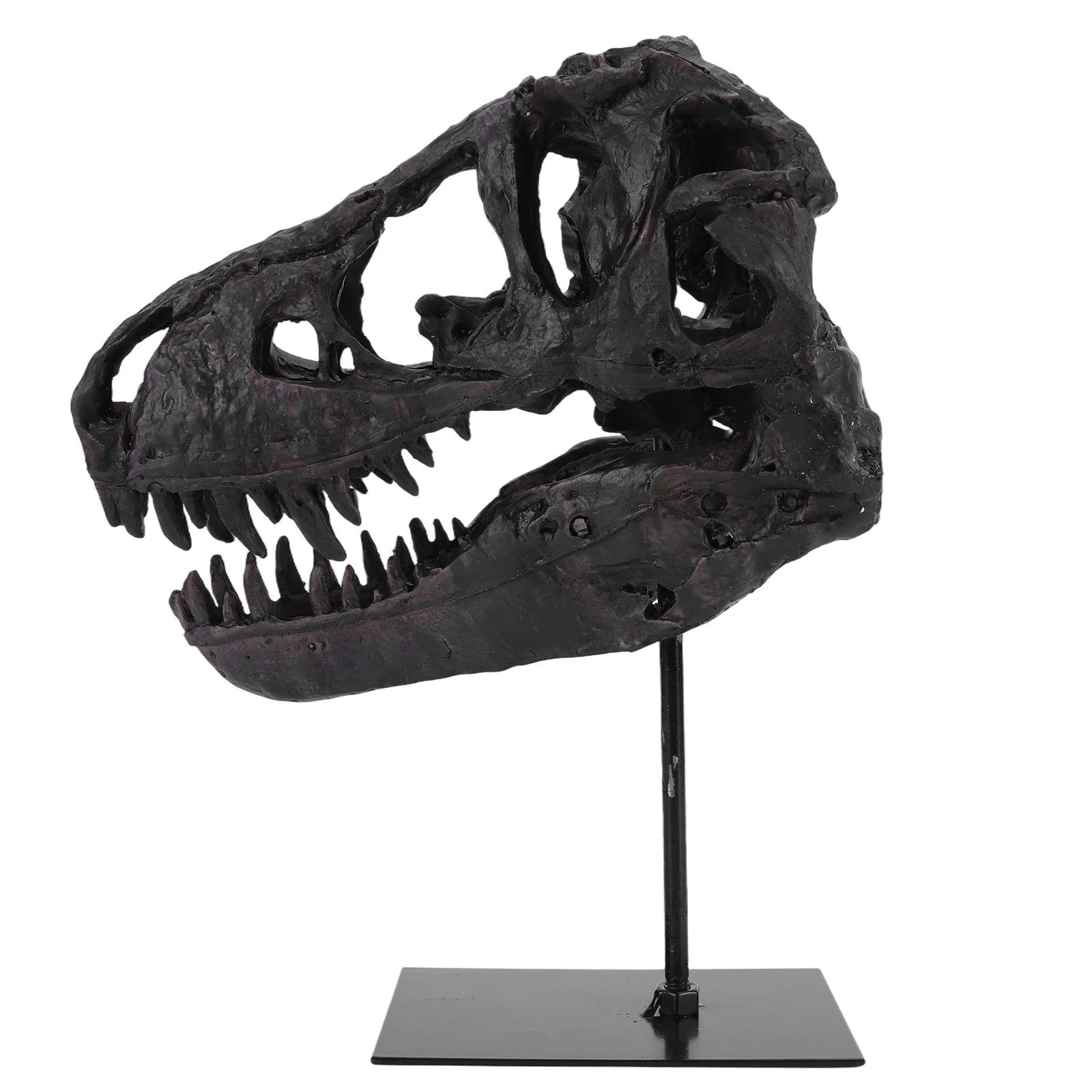 Dinosaur Skull Statue/ Resin Replica Head Sculptures with Bracket Skull/ Sculptures Gift for Kids and Adults