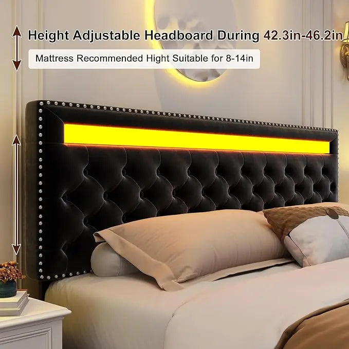 Full Size LED Bed Frame with Storage Drawers, RGBW Lights, Adjustable Headboard, No Box Spring, PU/Velvet Upholstered